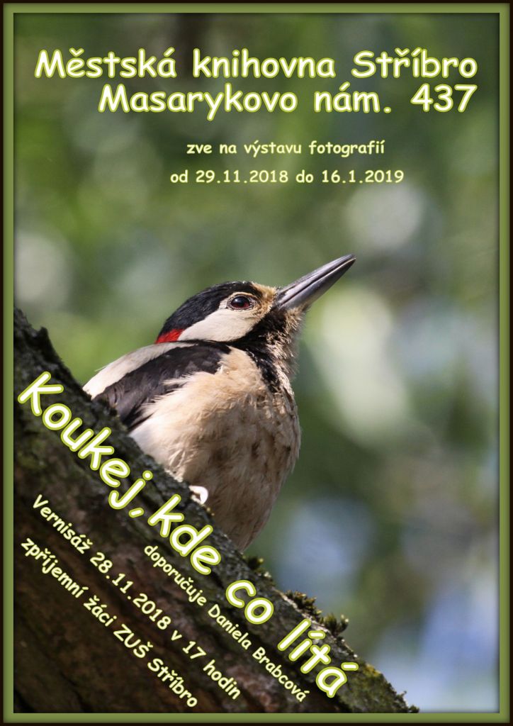 Koukej, kde co lítá